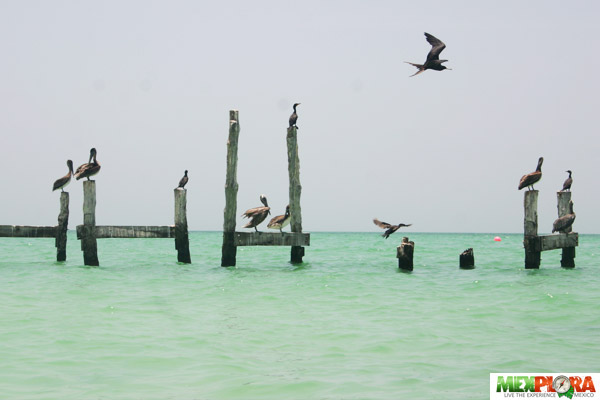 El ecoturismo 1 El ecoturismo