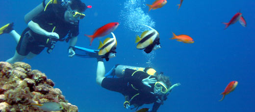Once destinos para practicar buceo en España 1 Once destinos para practicar buceo en España