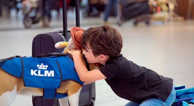 El perro que trabaja en Objetos Perdidos de KLM