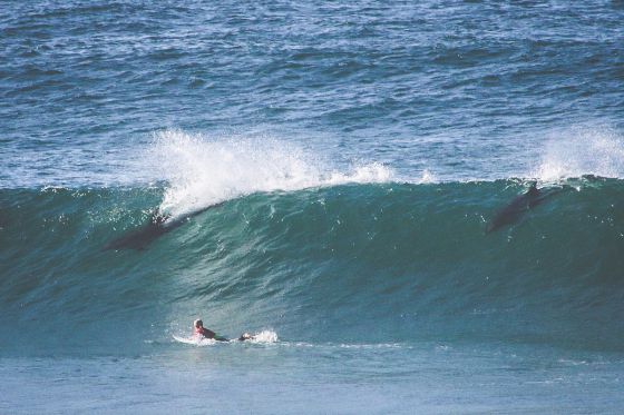 La máquina de olas en España